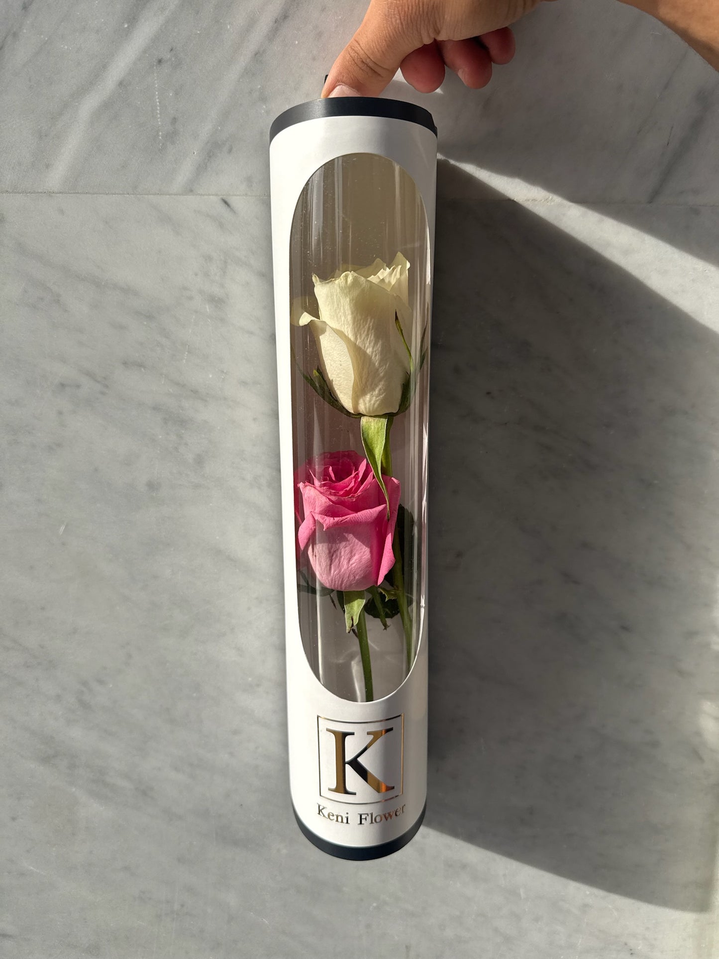 The Duo Rose Capsule