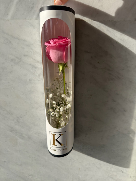 The Rose Capsule